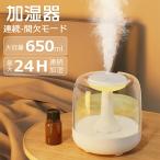 加湿器 卓上寝室加湿器 650ml 枕元卓上加湿器 静音 小型 加湿器 ミニ加湿器 超微細ミストモード調節大容量 上部給水 コンパクト USB給電 乾燥対策 潤い秋冬 寝室