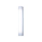 パナソニック NNFW21825LE9 壁直付型　直管LEDランプ・20形　ウォールライト　ステンレス製　防湿型・防雨型 【ランプ別売】