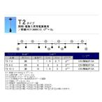 ڼʡۥǥ T2-10-3  T2 ֥Ĺ30m E26ɿ好å10() T2103