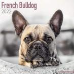 French Bulldog 2022 Wall Calendar並行輸入