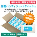 除菌 ハンディ ウェットティッシュ 400個 ギガセット まとめ買い アルコールタイプ お出かけ 携帯用 ウィルス対策 防災