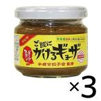 ご飯にかけるギョーザ スタンダード 3個セット 餃子 ぎょうざ ギョウザ 宇都宮