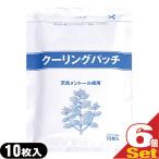 クーリングパッチ 10x14cm 10枚入り x6�