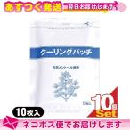 クーリングパッチ 10x14cm 10枚入り x10