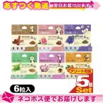 はじめての温灸 6壮 お試し x 5個 計30壮 お灸 温灸 おためし 熊猫温休院シリーズ 和漢植物配合 30点 ：ネコポス発送 当日出荷