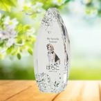  crystal мемориальная табличка ...SHIZUKU зеленый [ оригинал заказ товар ]