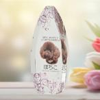  crystal мемориальная табличка ...SHIZUKU розовый [ оригинал заказ товар ]