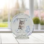  crystal мемориальная табличка ..TOWA голубой [ оригинал заказ товар ]