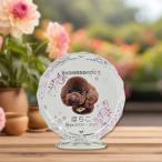  crystal мемориальная табличка ..TOWA розовый [ оригинал заказ товар ]