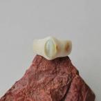 鹿の角クリソベリルキャッツアイのリ...