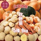  Hokkaido производство большой земля. ..5 вид 9kg осень овощи комплект Hokkaido производство 5 вид 9kg картофель мужчина ...kita красный li шар лук порей тыква морковь подарок бесплатная доставка . покупка 