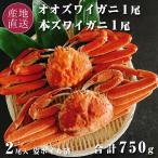 オオズワイガニ 北海道産 本ズワイガニ ボイル 姿 冷凍 2尾 計750g 食べ比べ ギフト オオズワイ ズワイ蟹 殻付き 海鮮 ズワイガニ カナダ産 爆買