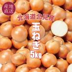  Hokkaido север видеть производство шар лук порей 5kg L размер север видеть производство шар лук-батун Япония вся страна один. производство количество. север видеть город. лук осень овощи . покупка 