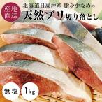 ぶり 切り身 ブリ 切り落とし 天然 鰤 訳あり 真空1パック 計1.0kg 切身 北海道 北海道産 無塩 訳アリ 冷凍 鮮魚 魚 国産 わけあり 海鮮