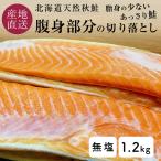鮭 切り身 訳あり 切り落とし 天然 無塩 無添加 北海道産 シャケ 真空2パック 計1.2kg 国産 ポイント利用