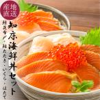 海鮮丼セット 海鮮丼の具 冷凍 知床産鮭昆布〆 知床産鮭たたき 北海道産無添加醤油いくら 北海道産ホタテ 北海道 海鮮丼 ギフト 刺身 爆買