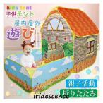  Kids палатка палатка house мяч бассейн палатка секрет основа земля .. дом развивающая игрушка игрушечный игрушка игрушка место хранения складной день рождения входить . праздник . празднование рождения 