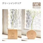 [ сейчас только распродажа ] Miffy товары miffy зеленый интерьер ske around nichi gun MZ11 настольный из дерева один колесо .. смешанные товары NICHIGAN