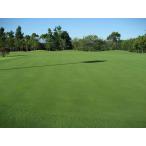  газонная трава сырой. вид * высший класс отдушина стакан 007 OO seven 5Kg( газонная трава )