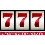  газонная трава сырой. вид * высший класс отдушина стакан 777 Triple seven 5Kg( газонная трава )