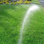  газонная трава сырой. вид * прекрасный зеленый . сохраняет TOP-GREEN 20Kg( газонная трава )