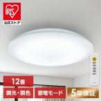  потолочный светильник led 12 татами style свет тонировка экономия энергии . электро- режим установка осветительное оборудование led осветительное оборудование living освещение модный Iris o-yamaCEP12DL-7.0 * безопасность удлинение гарантия объект 