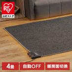 ホットカーペット 4畳 195×290 TEKNOS タイマー付き 電気カーペット コンパクト 温度調節 ダニ退治 長方形 TWA-4000BI