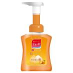 ハンドソープ ミューズ 泡ミューズ フルーティフレッシュ 本体 250ml