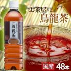 烏龍茶 500ml 48本 ペットボトル 送料