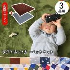 ホットカーペット 3畳 ラグ セット 本体 ダニ退治 電気カーペット 折り畳み 電気カーペット フランネルラグ 長方形 200×250cm セット