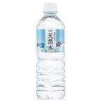 水 ミネラルウォーター 500ml 送料無料 48本　安い ペットボトル ミネラルウォーター 天然水【代引き不可】※：予約品 6/中-下頃