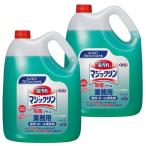 キッチン用洗剤 マジックリン 除菌プラス 4.5L 2個セット 業務用 洗剤 厨房・ホール用 除菌 
