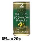 (20本)神戸居留地 厳選素材国産しょうがのジンジャーエール 缶 185ml 富永貿易 (D)