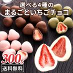 チョコレート バレンタイン チョコ いちごチョコ ホワイトチョコ 300g いちご フリーズドライ ホワイトチョコがけ スイーツ まるごといちごチョコ