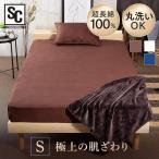 プレミアムコットン ボックスシーツ セミダブル BSTH-SD アイリスプラザ