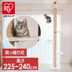 キャットタワー 木製 突っ張り 猫 爪とぎ 猫タワー ハンモック ベッド キャットハウス クリアボウル つっぱり式 突張式アスレチックタワー 1011106003 (D)