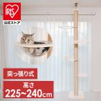 キャットタワー 木製 突っ張り 大型猫用 猫 爪とぎ 猫ベッド 猫タワー クリアボウル ベッド キャットハウス つっぱり式 突張式 アスレチックタワー バルコニー