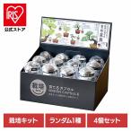  культивирование комплект бонсай 4 шт. комплект . новый керамика SEISHIN Capsule .. бонсай культивирование комплект 