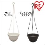  цветочный горшок грузоподъемность горшок 6 номер садоводство садоводство огород посадочная машина растение цветок pot веранда двор цветок Iris o-yama