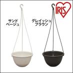  цветочный горшок грузоподъемность горшок 7 номер садоводство садоводство огород посадочная машина растение цветок pot веранда двор цветок Iris o-yama