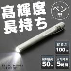 懐中電灯 led 小型 強力 ハンディライト LWK-100P アイリスオーヤマ 作業灯 投光器 スティック 100lm ワークライト ペンライト コンパクト 持ち運び