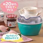 アイスクリームメーカー 手作り アイスクリーム アイス ジェラート シャーベット 家庭用 2人分 小さい 家製 アイス 簡単 かわいい 調理家電 プレゼント