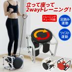 【10/1まで★500円OFFクーポン】 ステッパー 静音 健康器具 ツイスト 足踏み 室内 運動器具 ステップ器具 ダイエット トレーニング バンド付き 筋トレ
