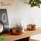  ваза сухой цветок модный стекло цветок основа Clay favo стекло цветок основа METALLIC PINK S размер террариум подарок подарок внутри праздник . новый жизнь 