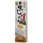 ムソー 旨味本来 生おろししょうが チューブ入り 40g 生おろし生姜 生おろしショウガ おろし生姜 おろしショウガ おろししょうが 生姜 ショウガ