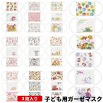 全国 スケーター マスク 3枚入り 洗える 子ども用 ガーゼマスク ディズニー Disney 恐竜 MSKG1 全国マスク工業会会員 メール便対応