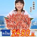 刺身用甘エビ 約1kg（約50〜60尾）