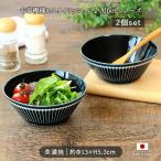 Albee アルビー 紺窯変 軽量 サラダボウル M 径13cm 2個セット 日本製 美濃焼 磁器 ボウル 鉢 中鉢 電子レンジ対応 食洗機対応 おしゃれ 爆買 母の日