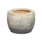 白砂火鉢 10号 信楽焼 伝統の火鉢 白