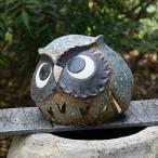 まんまるふくろう蚊やり器信楽焼陶器...
